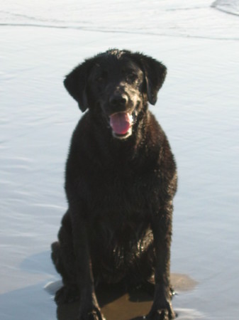 Happiness is a wet lab