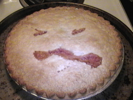 funny looking pie