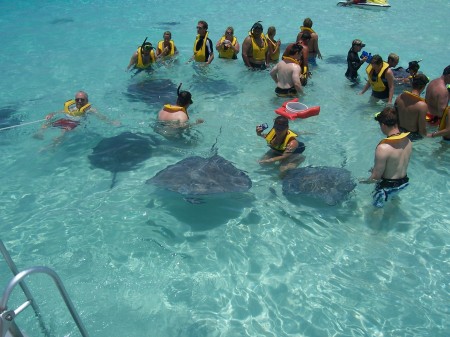 Michelle Swimming w/Stingrays.  Cayman Islands 2006