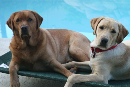 Bodie & Dakoda Crockatt