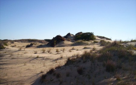 The Dunes at Jockeys Ridge