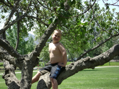 Nathan my monkey in the tree!