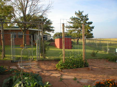 This year's garden, looking north