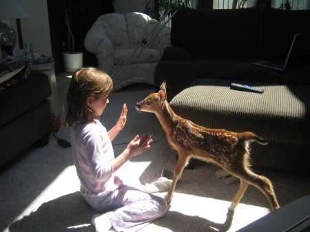 Sidney and Bambi