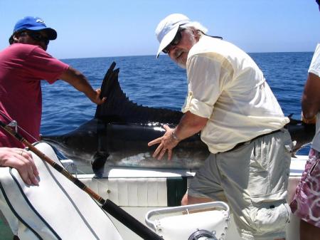 Striped Marlin