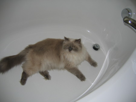 Ted, he loves mommies bath tub!