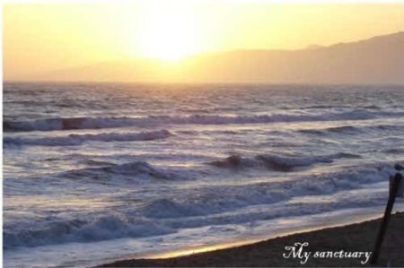 The beach in So. Cal.