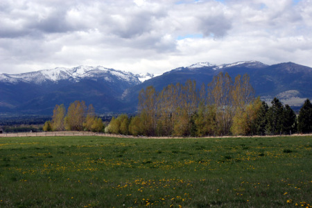 Looking out my back door!