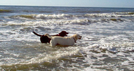 Sam & Kolby on Kiawah Island