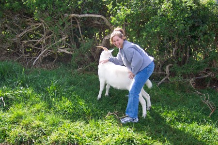 Trying to ride a goat, of course!!!