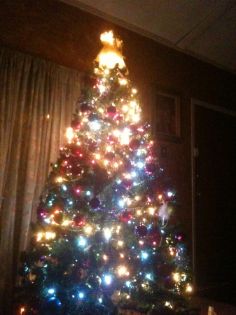 Our Christmas tree 2010