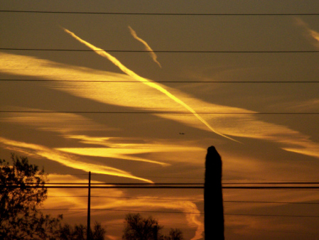 Sunset Patterns