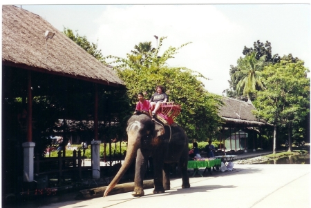 My Elephant Ride in Bangkok, Thailand