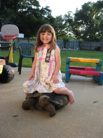 Caylee on Link our Galapago's tortoise