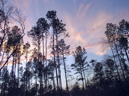 Texas sky