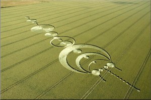Have you seen a Crop Circle recently?
