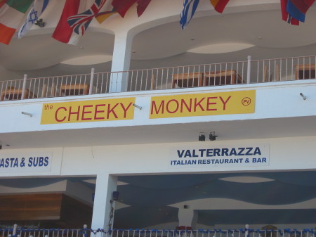 Cheecky Monkey