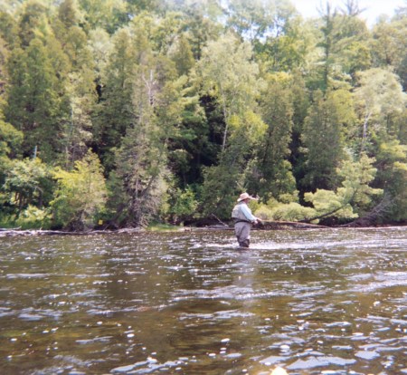 muskegon river scenery