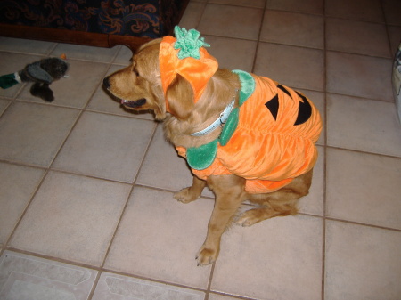 Cadee on Halloween