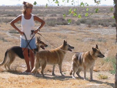 ann & dogs