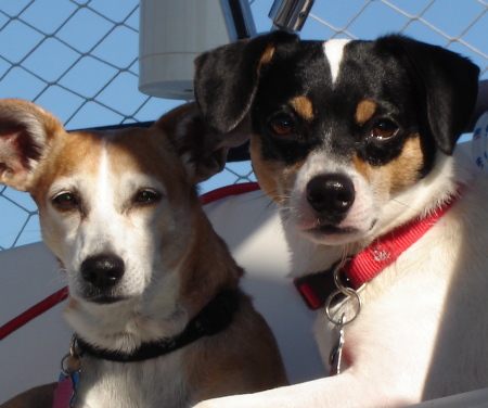 Samantha and Lord Horatio Nelson.