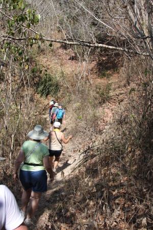 Puerto Vallerta Sierra Madre Hike