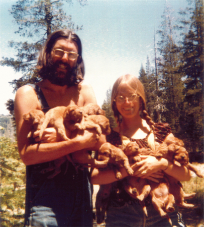 Summer of '72 traveling with puppies