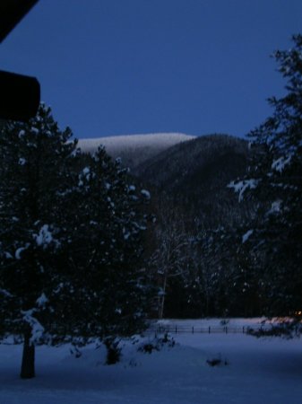 Snow in moonlight