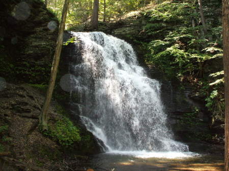 summer 07 Bushkill Falls Pa.