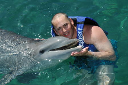 swimmin with dolphins