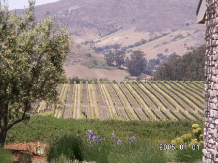 San Luis Obispo Wine Country