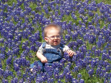 loganbluebonnet