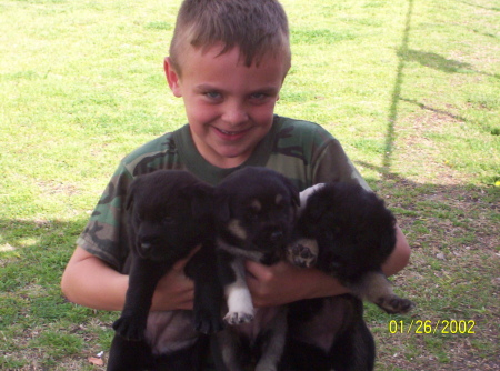 Andrew and the Puppies