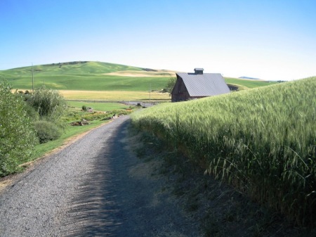 Looking south from Moscow Idaho