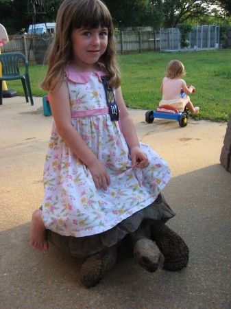 Caylee on Link our Galapago's tortoise