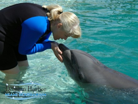 MIA Sea Aquarium 2008