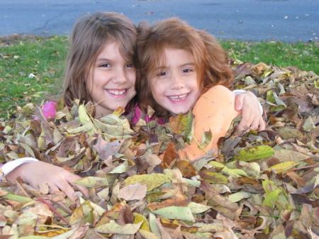 Not Raking Leaves