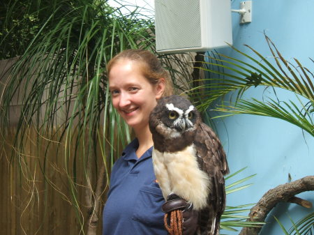 Spectacled Owl