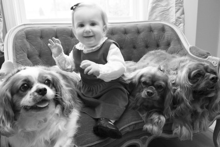 Oliver, Grace, Bella and Rudy