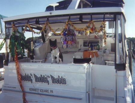 My Ex-Dog at a Boat Party