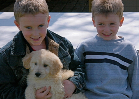 My sons and our new dog.