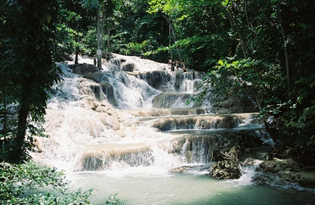 Dan's Grove Waterfall