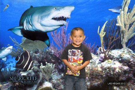 Douby at Shark's Reef