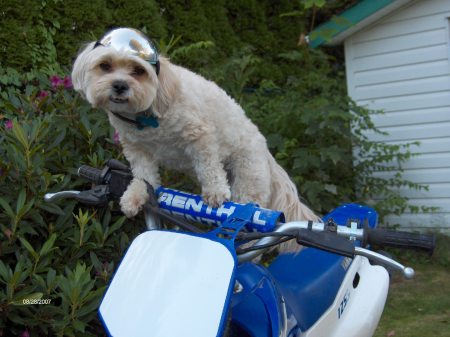 Meko on HIS 125, Showing his riding Technique