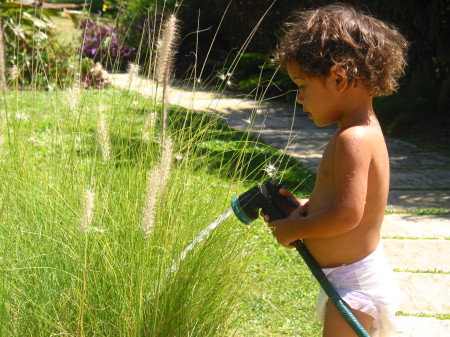 Roan Watering at Mangrove