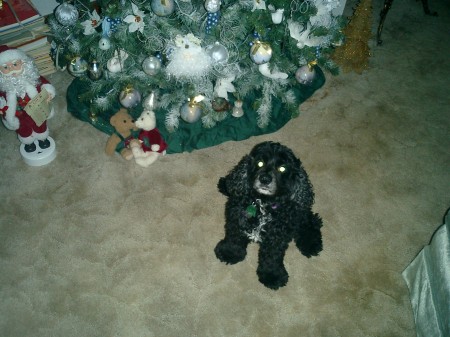 Levi waiting for Santa to bring him a new toy