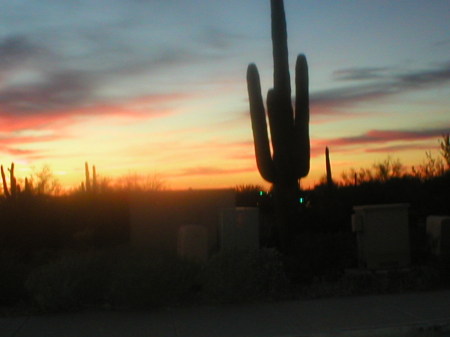 arizona sunset