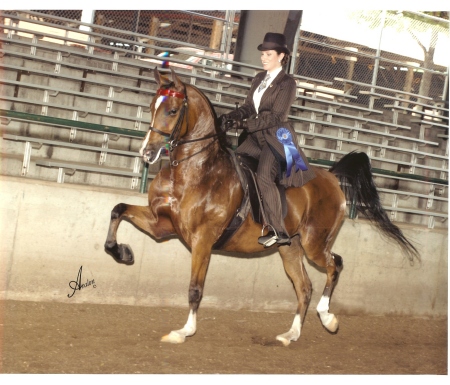 Daughter Kristin & my horse Premonition