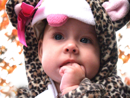 Ava Jean (baby cougar)