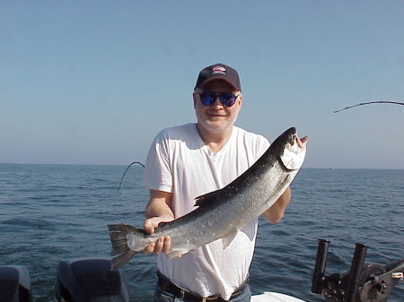 Steelhead from Lake Ontario